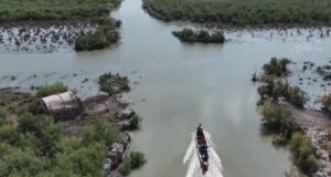 У річках Іраку стало більше води: Reuters пише про відновлення біблійних боліт Едему У-річках-Іраку-стало-більше-води:-reuters-пише-про-відновлення-біблійних-боліт-Едему