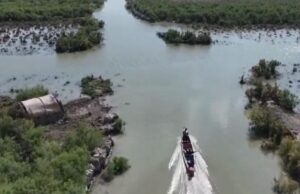У річках Іраку стало більше води: Reuters пише про відновлення біблійних боліт Едему У-річках-Іраку-стало-більше-води:-reuters-пише-про-відновлення-біблійних-боліт-Едему