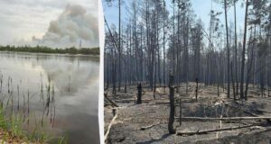 Біля Чорнобиля поширилася масштабна пожежа: найскладніша ситуація на березі Прип’яті Біля-Чорнобиля-поширилася-масштабна-пожежа:-найскладніша-ситуація-на-березі-Прип’яті