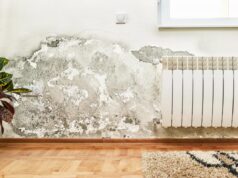 Пліснява і волога на стінах: простий тест із фольгою покаже причину Пліснява-і-волога-на-стінах:-простий-тест-із-фольгою-покаже-причину