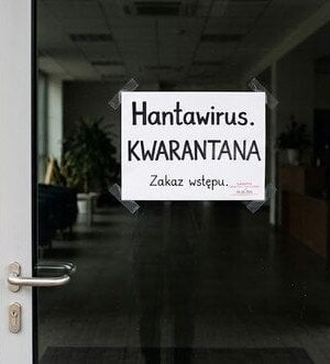 Хантавірус-підбирається-до-України:-у-Польщі-вперше-запровадили-карантин-через-загрозу-епідемії
