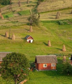 Тренд-на життя-в селі:-родина-купила-стару-хату-на Київщині-й почала-ремонт