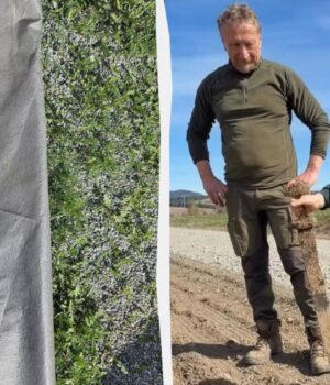 У-Норвегії-хлопчик-знайшов-меч-вікінгів-під-час-шкільної-екскурсії