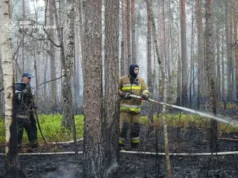 У Поліському заповіднику гасять масштабну лісову пожежу на 250 гектарах У Поліському заповіднику гасять масштабну лісову пожежу на 250 гектарах