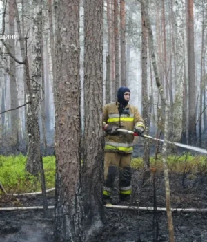 У Поліському заповіднику гасять масштабну лісову пожежу на 250 гектарах