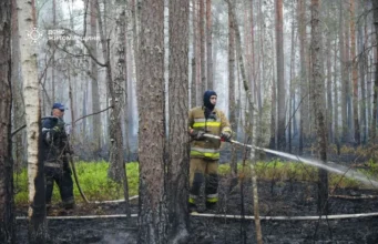 У Поліському заповіднику гасять масштабну лісову пожежу на 250 гектарах У Поліському заповіднику гасять масштабну лісову пожежу на 250 гектарах