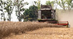 На тлі прогнозів про продовольчу кризу в світі, Україна збере цьогоріч менший врожай На-тлі-прогнозів-про-продовольчу-кризу-в-світі,-Україна-збере-цьогоріч-менший-врожай