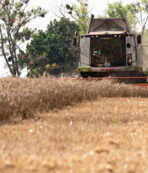 На-тлі-прогнозів-про-продовольчу-кризу-в-світі,-Україна-збере-цьогоріч-менший-врожай