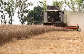На тлі прогнозів про продовольчу кризу в світі, Україна збере цьогоріч менший врожай На-тлі-прогнозів-про-продовольчу-кризу-в-світі,-Україна-збере-цьогоріч-менший-врожай