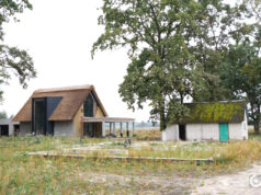 Офіс Генпрокурора відсуджує землі волинського заказника «Зубр», призначили експертизу котеджів Офіс-Генпрокурора-відсуджує-землі-волинського-заказника-«Зубр»,-призначили-експертизу-котеджів