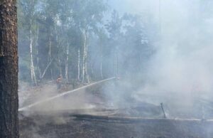 В районі Чорнобиля спалахнули нові масштабні пожежі: яка причина В-районі-Чорнобиля-спалахнули-нові-масштабні-пожежі:-яка-причина