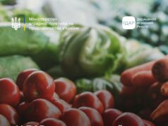 Новий грантовий цикл для агровиробників у Волинській області Підтримка-агровиробників:-розпочинається-прийом-заявок-на-державні-грантові-програми