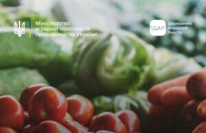 Новий грантовий цикл для агровиробників у Волинській області Підтримка-агровиробників:-розпочинається-прийом-заявок-на-державні-грантові-програми