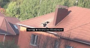 Під Бєлгородом авіабомба РФ впала на житловий будинок: є жертва Під-Бєлгородом-авіабомба-РФ-впала-на-житловий-будинок:-є-жертва