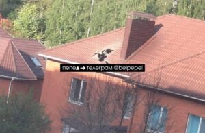 Під Бєлгородом авіабомба РФ впала на житловий будинок: є жертва Під-Бєлгородом-авіабомба-РФ-впала-на-житловий-будинок:-є-жертва