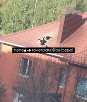 Під-Бєлгородом-авіабомба-РФ-впала-на-житловий-будинок:-є-жертва