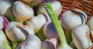Топ продуктів, що розчиняють тромби Топ-продуктів,-що розчиняють-тромби