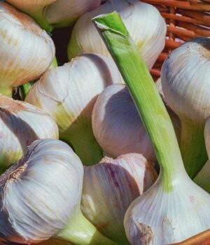 Топ-продуктів,-що розчиняють-тромби