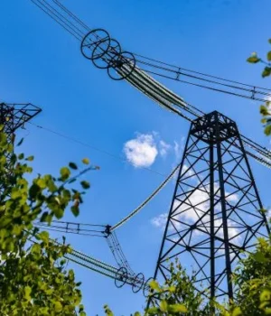 Держзакупівлі електроенергії залишають установи без постачальників