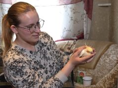 Для них відвели окрему кімнату: в сільській хаті на Волині живуть 18 папуг Для-них-відвели-окрему-кімнату:-в-сільській-хаті-на-Волині-живуть-18-папуг
