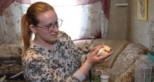 Для них відвели окрему кімнату: в сільській хаті на Волині живуть 18 папуг Для-них-відвели-окрему-кімнату:-в-сільській-хаті-на-Волині-живуть-18-папуг
