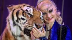 У Німеччині поліція застрелила тигра, що втік і напав на доглядача Поліція-застрелила-тигра-втікача.-Він-напав-на-чоловіка