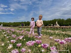 Фестиваль тюльпанів «Квітоліс» об’єднав родини з Центру життєстійкості Родини,-які-отримують-послугу-раннього-втручання,-відвідали-Фестиваль-тюльпанів-«Квітоліс»