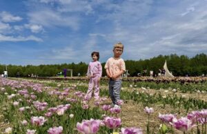 Фестиваль тюльпанів «Квітоліс» об’єднав родини з Центру життєстійкості Родини,-які-отримують-послугу-раннього-втручання,-відвідали-Фестиваль-тюльпанів-«Квітоліс»
