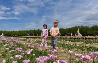 Фестиваль тюльпанів «Квітоліс» об’єднав родини з Центру життєстійкості Родини,-які-отримують-послугу-раннього-втручання,-відвідали-Фестиваль-тюльпанів-«Квітоліс»