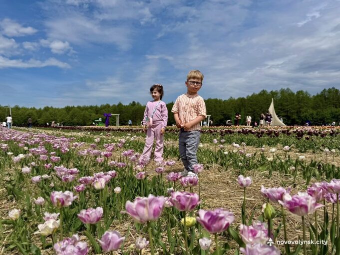 Фестиваль тюльпанів «Квітоліс» об’єднав родини з Центру життєстійкості Родини,-які-отримують-послугу-раннього-втручання,-відвідали-Фестиваль-тюльпанів-«Квітоліс»