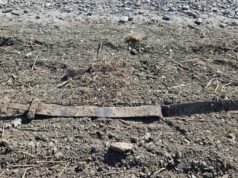 У Норвегії 6-річний школяр випадково знайшов 1300-річний меч У-Норвегії-6-річний-школяр-випадково-знайшов-1300-річний-меч