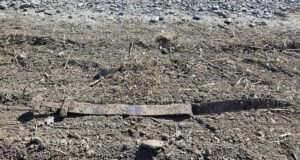 У Норвегії 6-річний школяр випадково знайшов 1300-річний меч У-Норвегії-6-річний-школяр-випадково-знайшов-1300-річний-меч