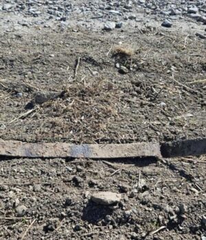 У-Норвегії-6-річний-школяр-випадково-знайшов-1300-річний-меч У-Норвегії-6-річний-школяр-випадково-знайшов-1300-річний-меч
