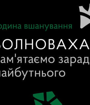 22-травня-вшановуємо-пам’ять-воїнів,-загиблих-під-Волновахою