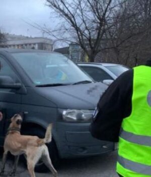 Перевірятимуть-документи-та-оглядатимуть-авто:-на-Волині-СБУ-посилює-безпекові-заходи Перевірятимуть-документи-та-оглядатимуть-авто:-на-Волині-СБУ-посилює-безпекові-заходи