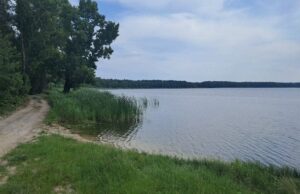 У Кривому Розі на березі річки виявили тіло 5-річного хлопчика У Кривому-Розі-на березі-річки-виявили-тіло-5-річного-хлопчика