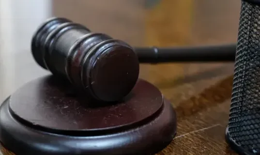 Харківську блогерку взяли під варту у справі про авто для ЗСУ Харківську блогерку взяли під варту у справі про авто для ЗСУ