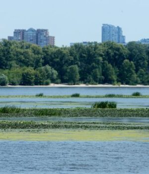 Українцям-готують-нові-штрафи-за-воду-на-тисячі-гривень:-за-що-можна-“влетіти”-на-гроші