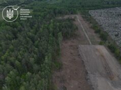 На Волині виявили незаконну вирубку дерев на понад 16,5 мільйонів гривень На-Волині-виявили-незаконну-вирубку-дерев-на-понад-16,5-мільйонів-гривень