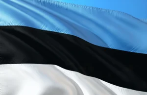 Естонія попереджає ЄС про ризики прямих переговорів з Росією Естонія-застерегла-ЄС-від-прямих-переговорів-із-росією-через-ризик-стати-"нейтральним-посередником"
