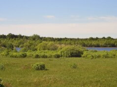 У сільради на Волині вимагають захистити заказник У-сільради-на-Волині-вимагають-захистити-заказник
