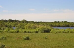 У сільради на Волині вимагають захистити заказник У-сільради-на-Волині-вимагають-захистити-заказник