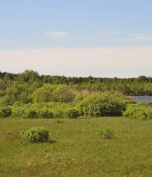 У-сільради-на-Волині-вимагають-захистити-заказник У-сільради-на-Волині-вимагають-захистити-заказник