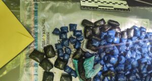 Зробили понад 100 закладок у лісі: на Рівненщині затримали наркодилерів з Волині Зробили-понад-100-закладок-у-лісі:-на-Рівненщині-затримали-наркодилерів-з-Волині