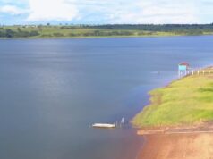 Річку в Бразилії блокують гігантські водорості: човни не можуть пройти, причали руйнуються Річку-в-Бразилії-блокують-гігантські-водорості:-човни-не-можуть-пройти,-причали-руйнуються
