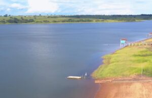 Річку в Бразилії блокують гігантські водорості: човни не можуть пройти, причали руйнуються Річку-в-Бразилії-блокують-гігантські-водорості:-човни-не-можуть-пройти,-причали-руйнуються