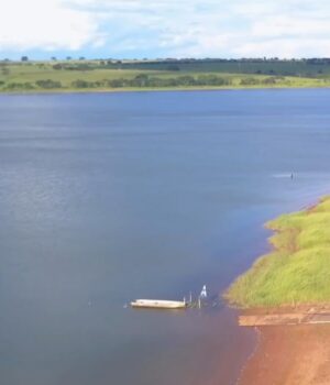 Річку-в-Бразилії-блокують-гігантські-водорості:-човни-не-можуть-пройти,-причали-руйнуються