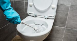Як безпечно очистити унітаз від жорсткого нальоту: прибиральниця назвала два методи Як-безпечно-очистити-унітаз-від-жорсткого-нальоту:-прибиральниця-назвала-два-методи