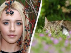 Яке свято відзначаємо 2 червня: сьогодні заборонено ходити в одне місце Яке-свято-відзначаємо-2-червня:-сьогодні-заборонено-ходити-в-одне-місце