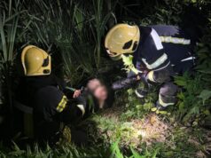 У Луцьку на Відродження жінка застрягла у болоті біля річки У-Луцьку-на-Відродження-жінка-застрягла-у-болоті-біля-річки